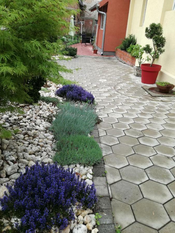 Apartman Centar Kruševac المظهر الخارجي الصورة